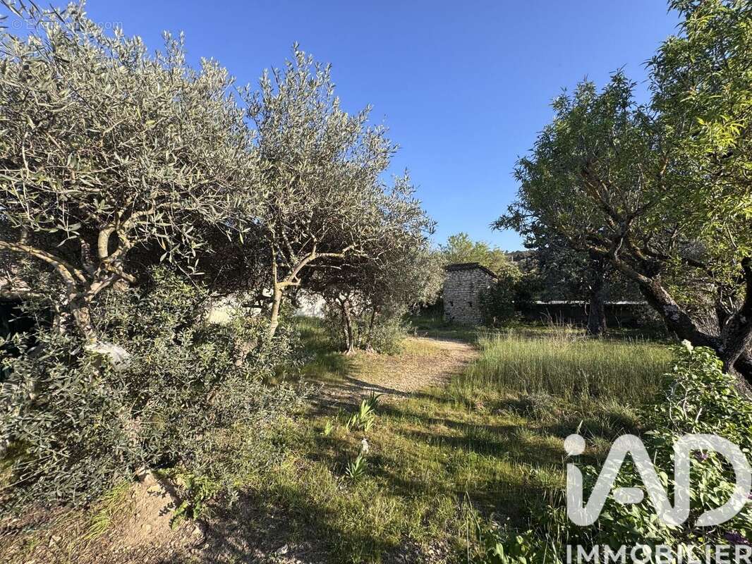 Photo 5 - Terrain à CAVAILLON