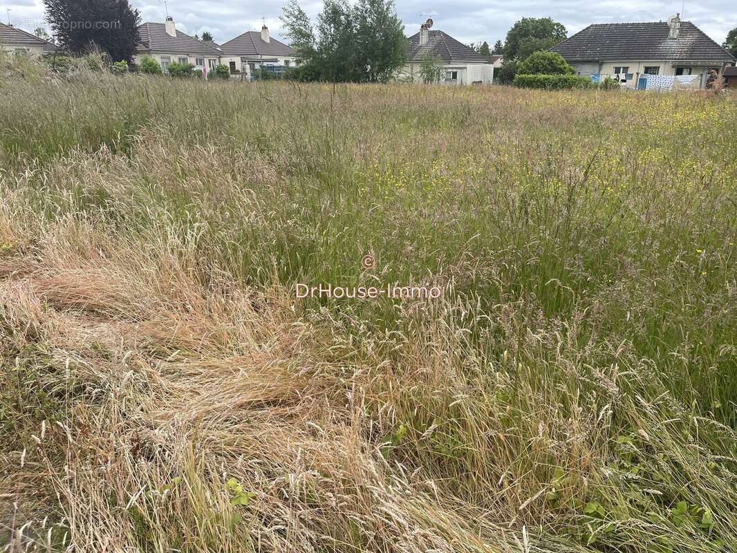 Terrain à LORRIS