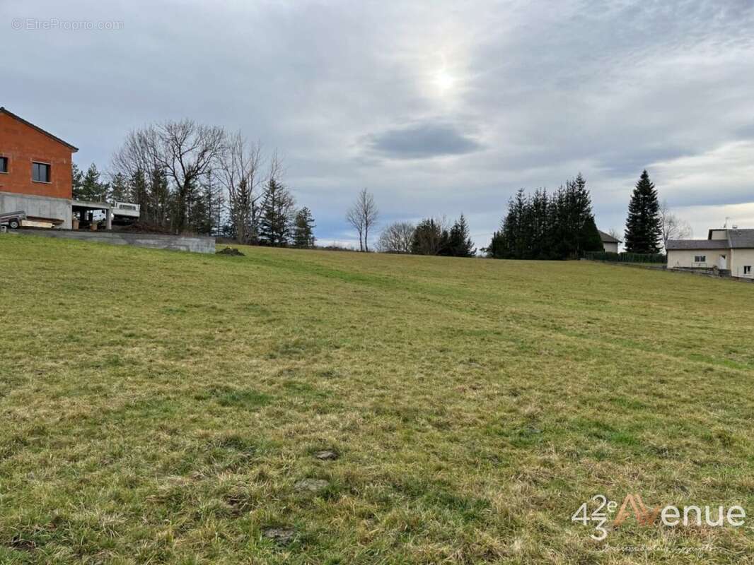 Terrain à SAINT-JULIEN-CHAPTEUIL