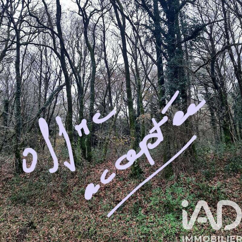 Photo 1 - Terrain à CAUREL