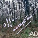 Photo 1 - Terrain à CAUREL