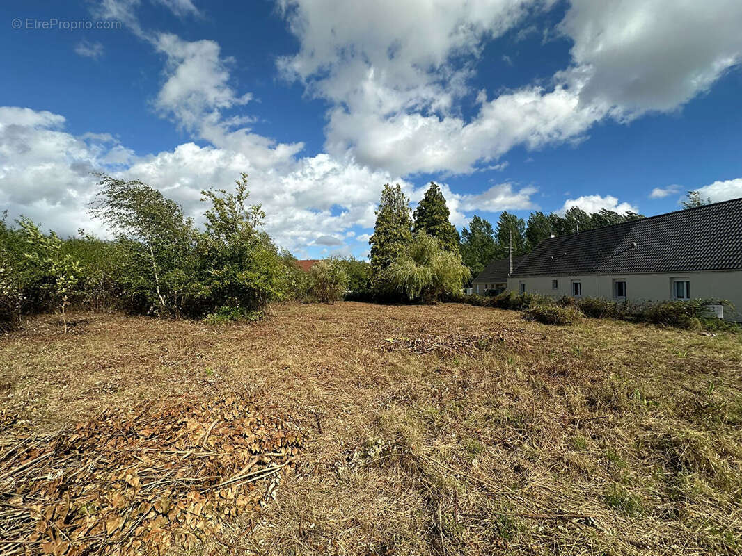 Terrain à MENNESSIS