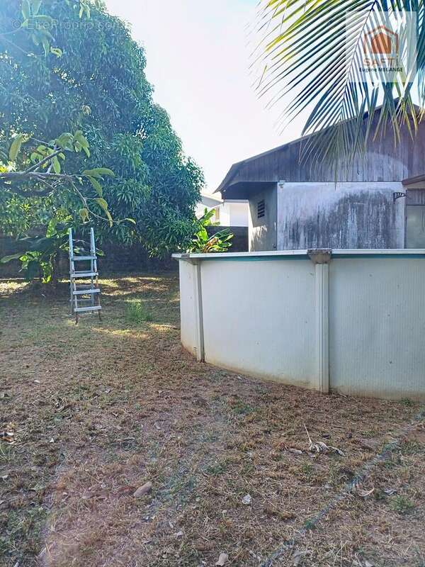 Photo 9 - Maison à MATOURY