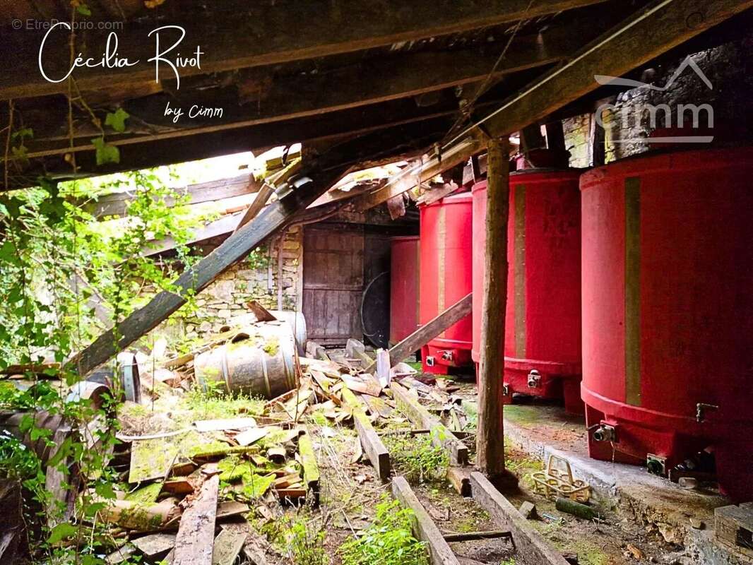 Ancien chai - photo 7