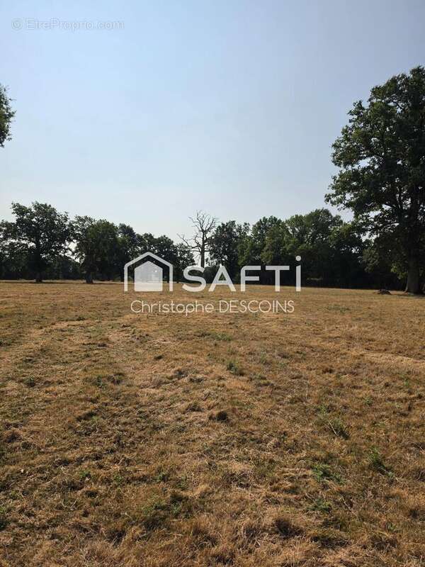 Terrain 96004 m² à Loiron  - photo 8
