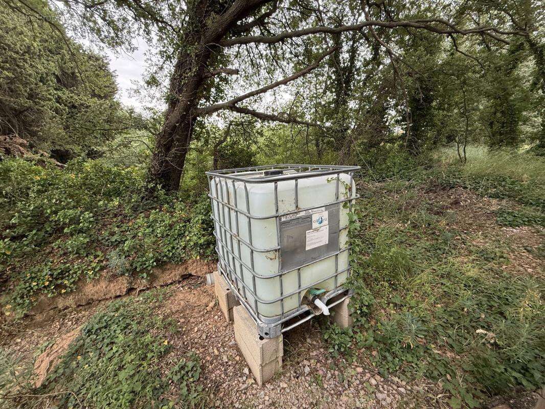Terrain à CASTELNOU