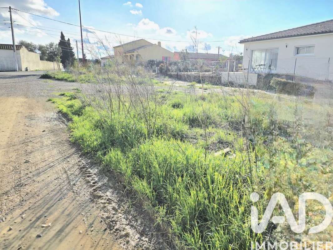 Photo 5 - Terrain à SALLELES-D'AUDE