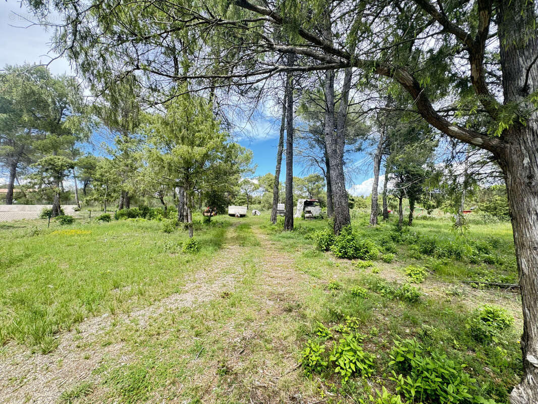 Terrain à FOX-AMPHOUX