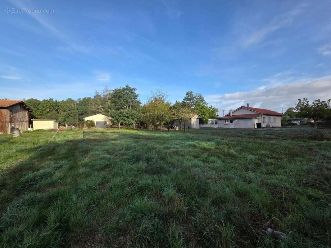 Photo 3 - Terrain à SALAUNES