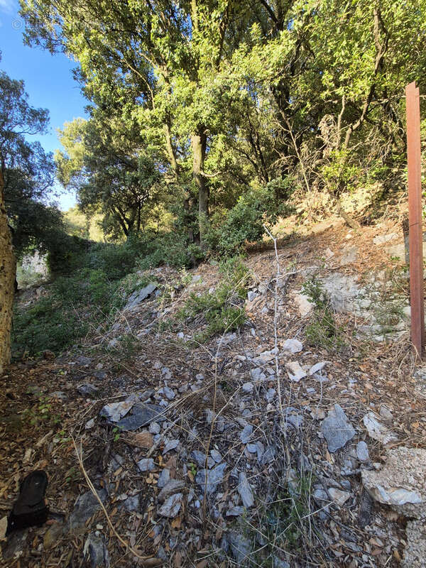 Maison à CABREROLLES
