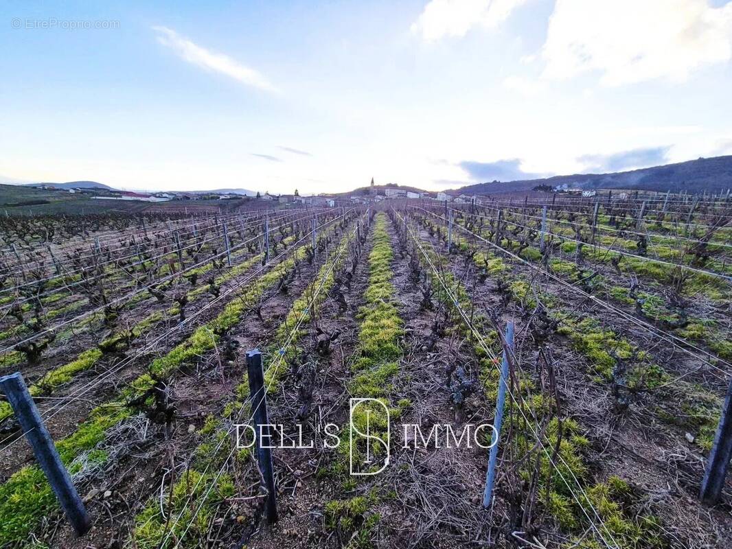 Terrain à VILLIE-MORGON