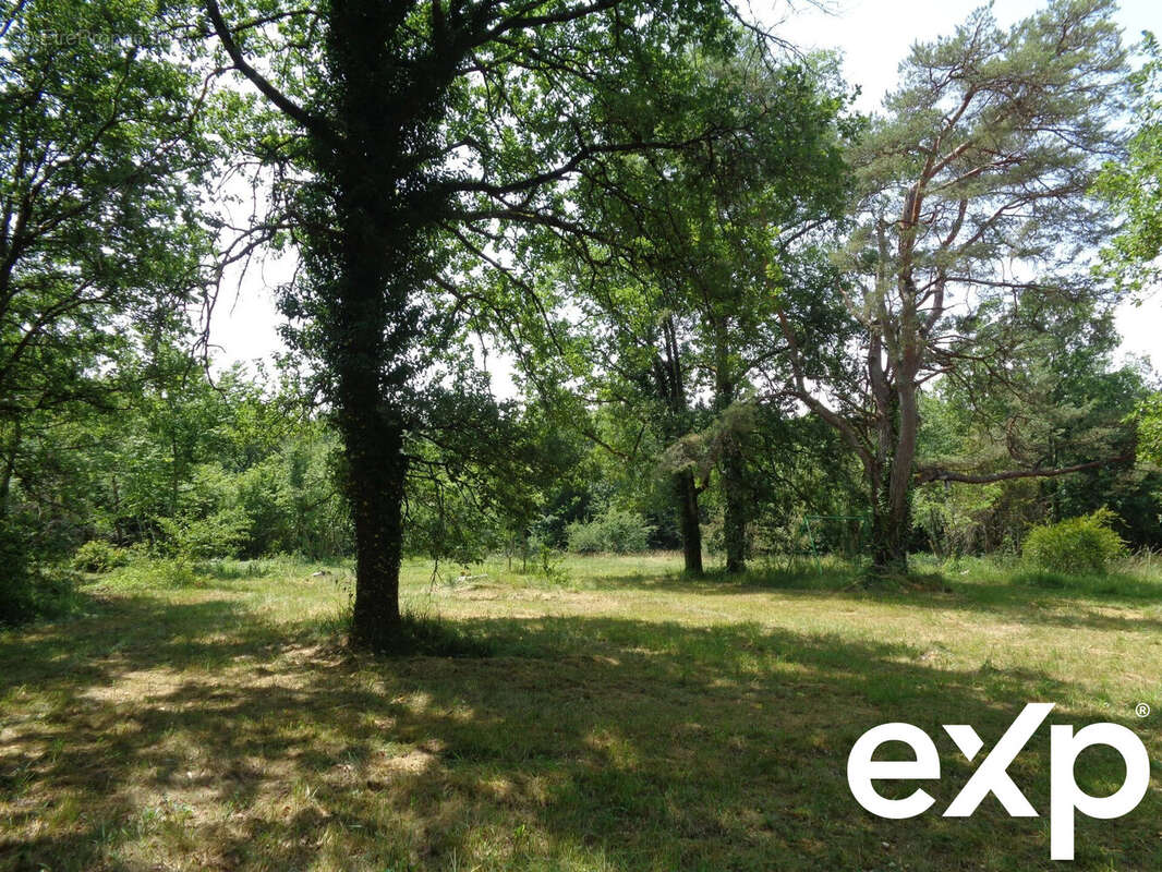 Maison à CHAMPAGNE-ET-FONTAINE