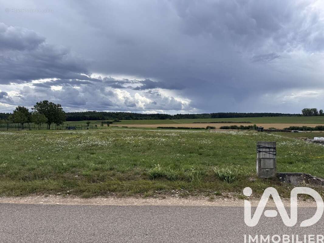 Photo 8 - Terrain à REHAINCOURT