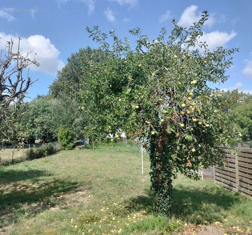 Maison à MONTOIR-DE-BRETAGNE