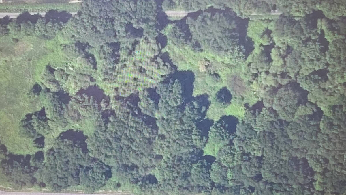 Terrain à SAINT-MARS-LA-JAILLE