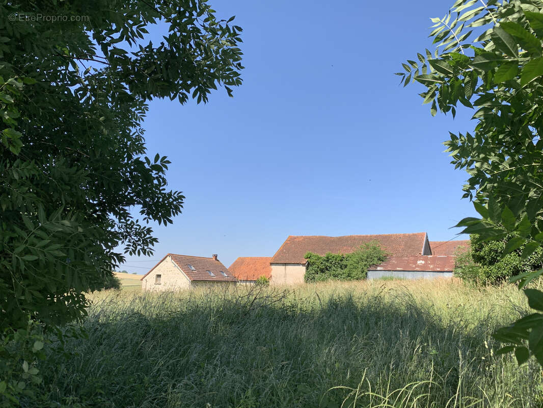 Maison à SAINTE-THERENCE