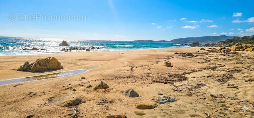 Appartement à OLMETO