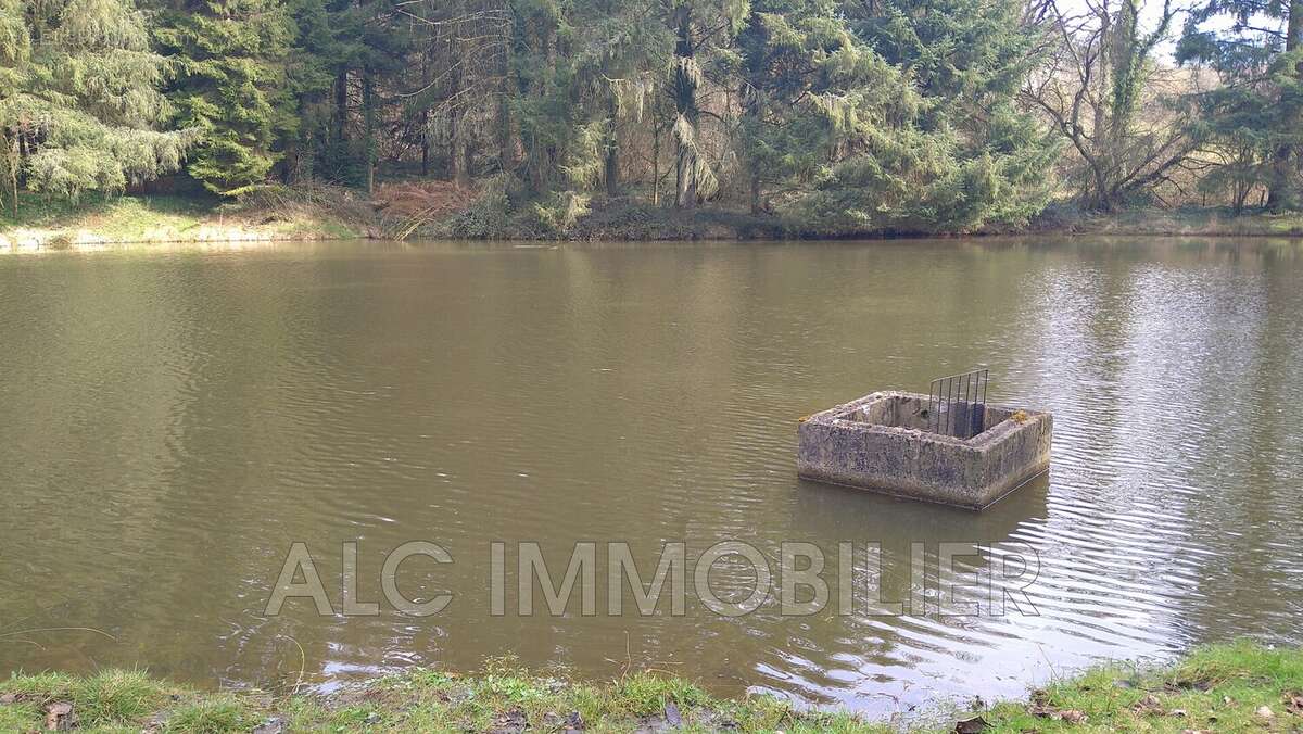 Terrain à LOUPFOUGERES