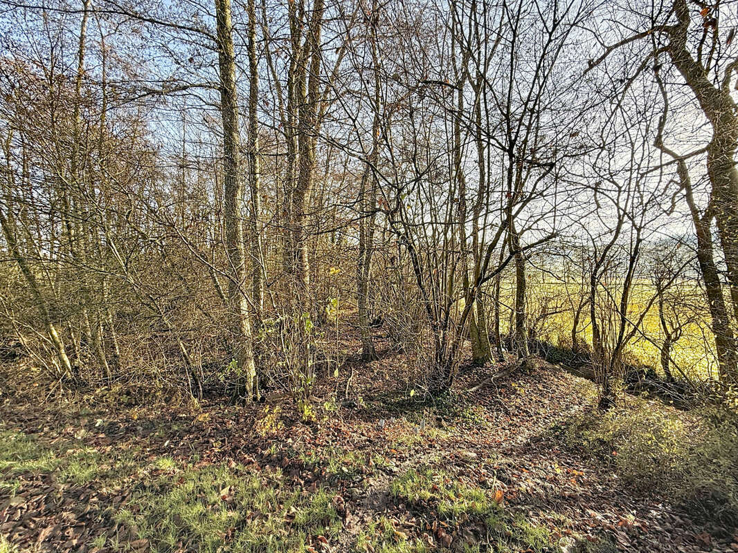 Terrain à MIRECOURT