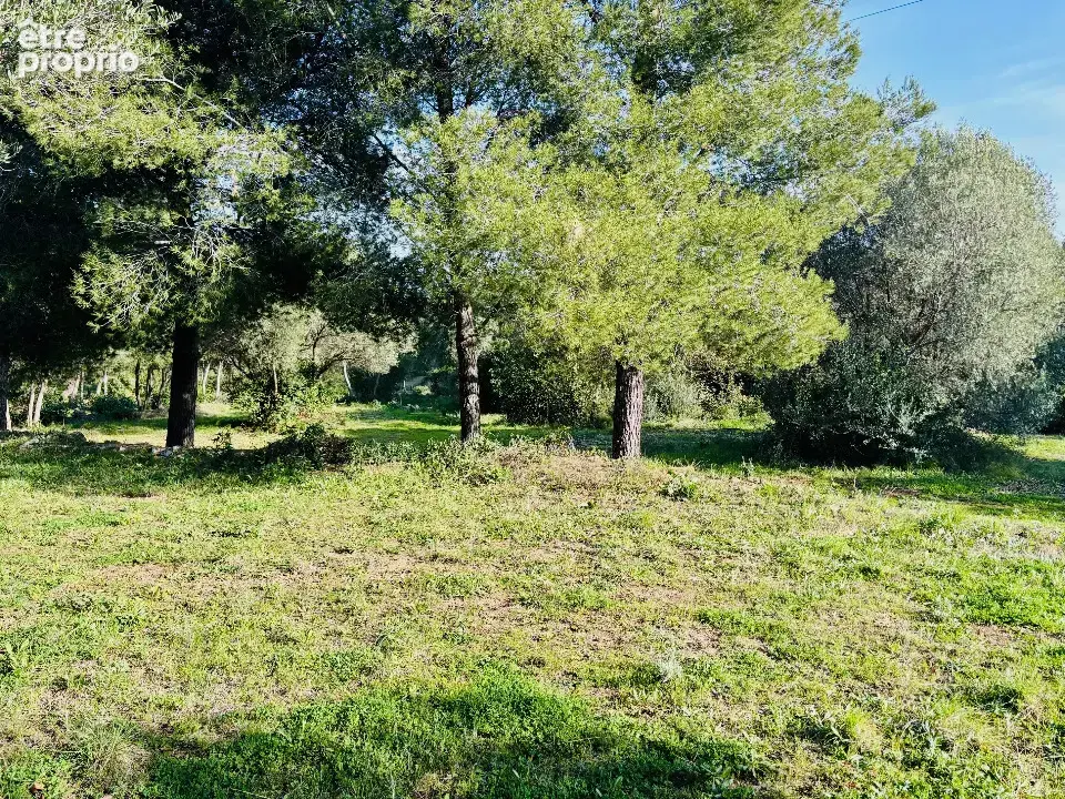 Photo Terrain à Ollioules au prix de 215 000€