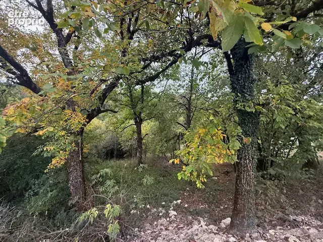 Maison familiale de 110 m2 au calme, proche de Valdahon - photo 27