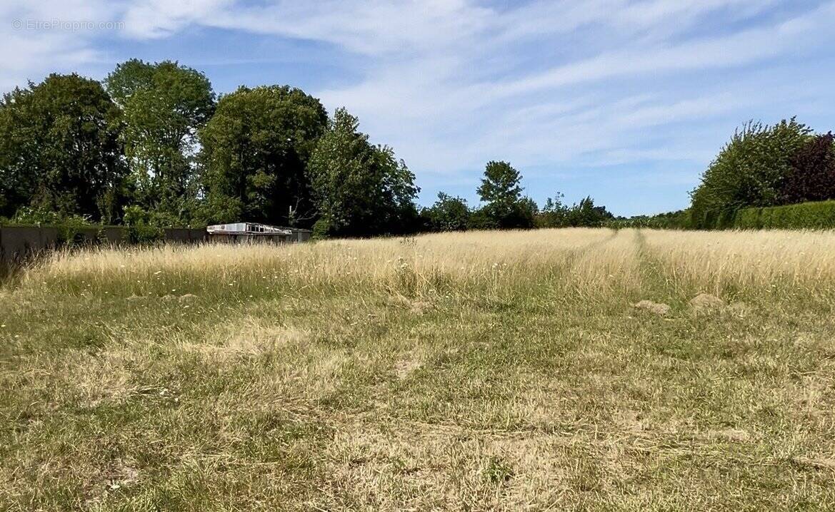 Terrain à MARQUION