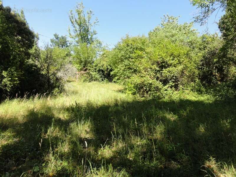 Terrain à VILLEPINTE