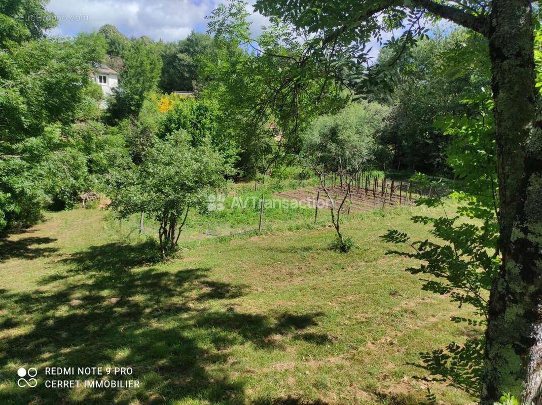 Terrain 5257 m² à Colognac  - photo 1