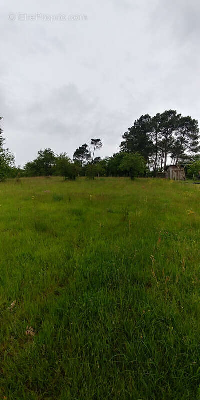 En exclusivite : magnifique terrain avec vue a la campagne ! - photo 3