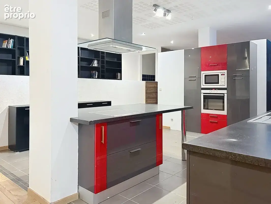 Appartement LOFT de 248m2 avec Terrasse, Piscine, Grand garage de 100m2 et 2 Places extérieures - photo 6