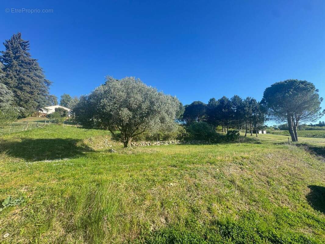 Photo 2 - Terrain à CHATEAUNEUF-SUR-ISERE