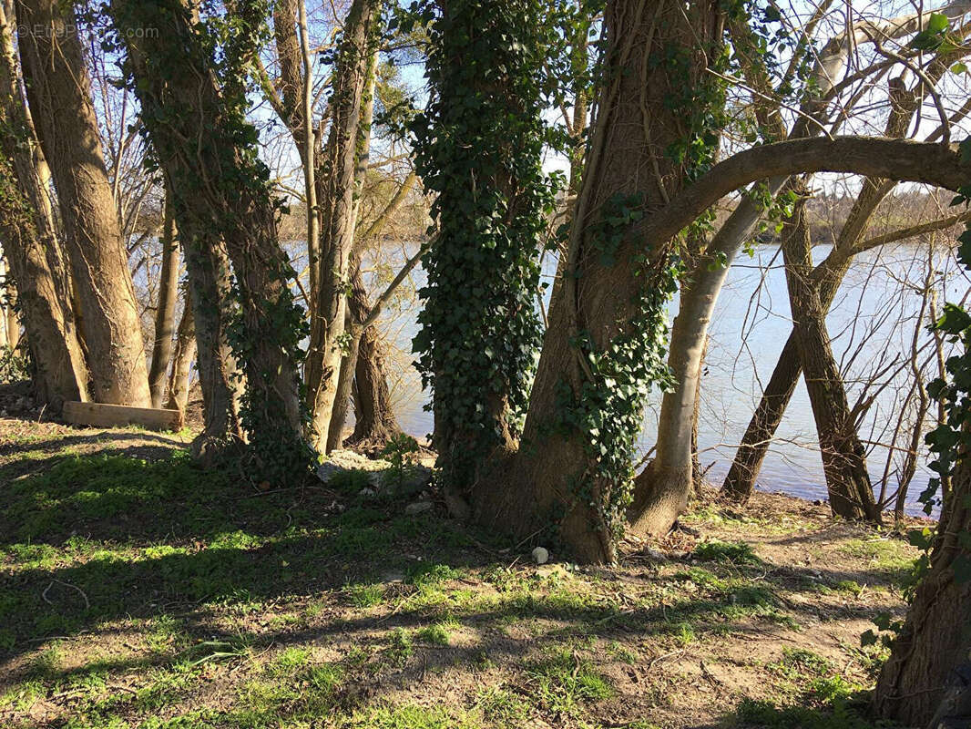 Terrain de loisir en bord de seine  750m² - photo 2