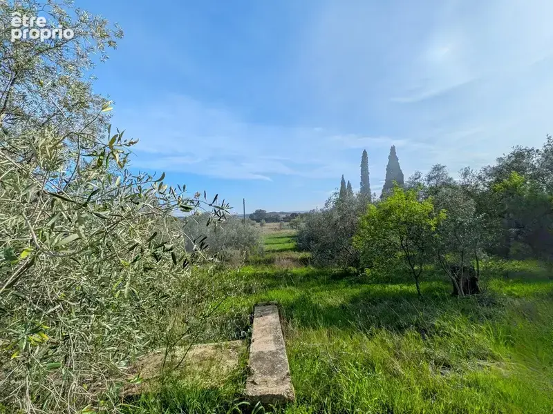 Terrain de 3 730 m² avec potentiel de construction – Réseaux à proximité – Cesseras - photo 2