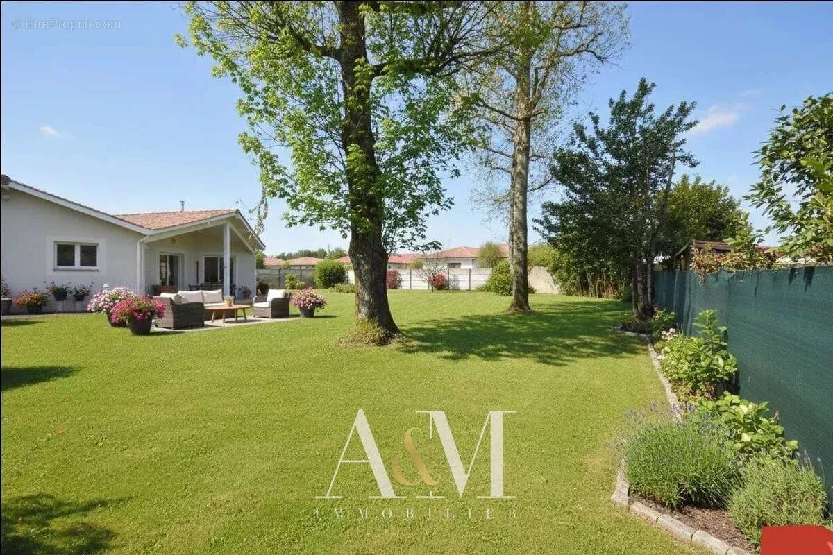 Maison à AUDENGE