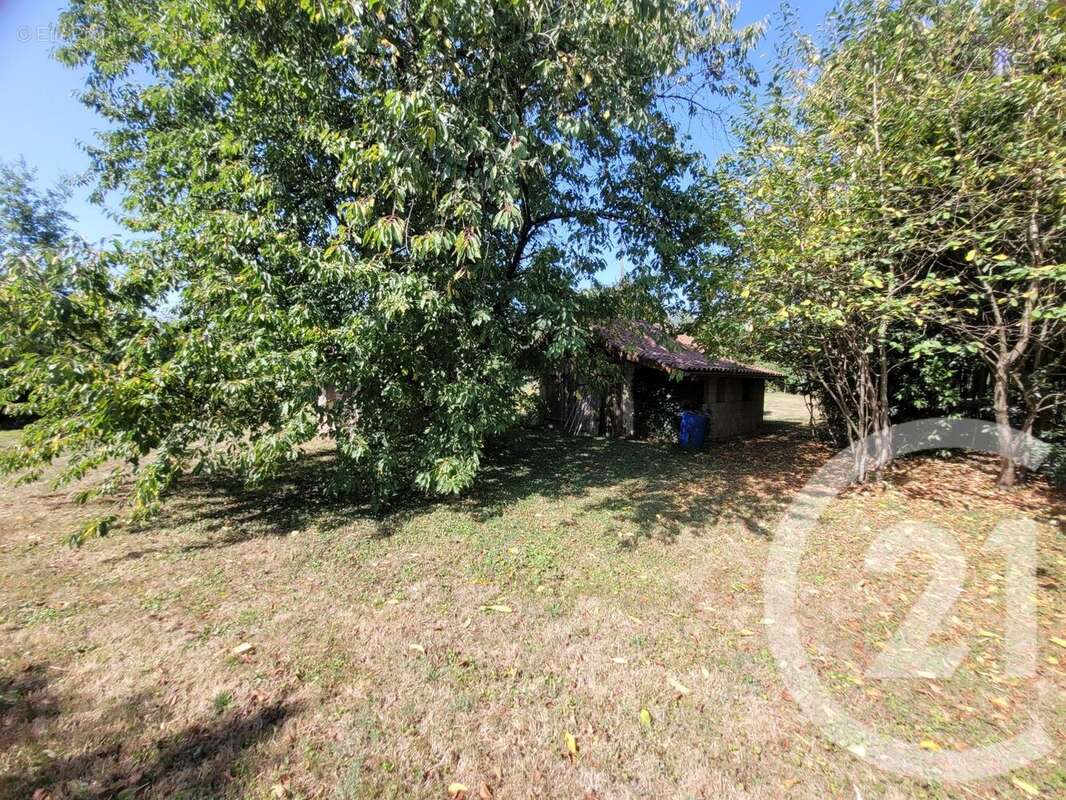 Maison 431 m² à Montpont-En-Bresse  - photo 20