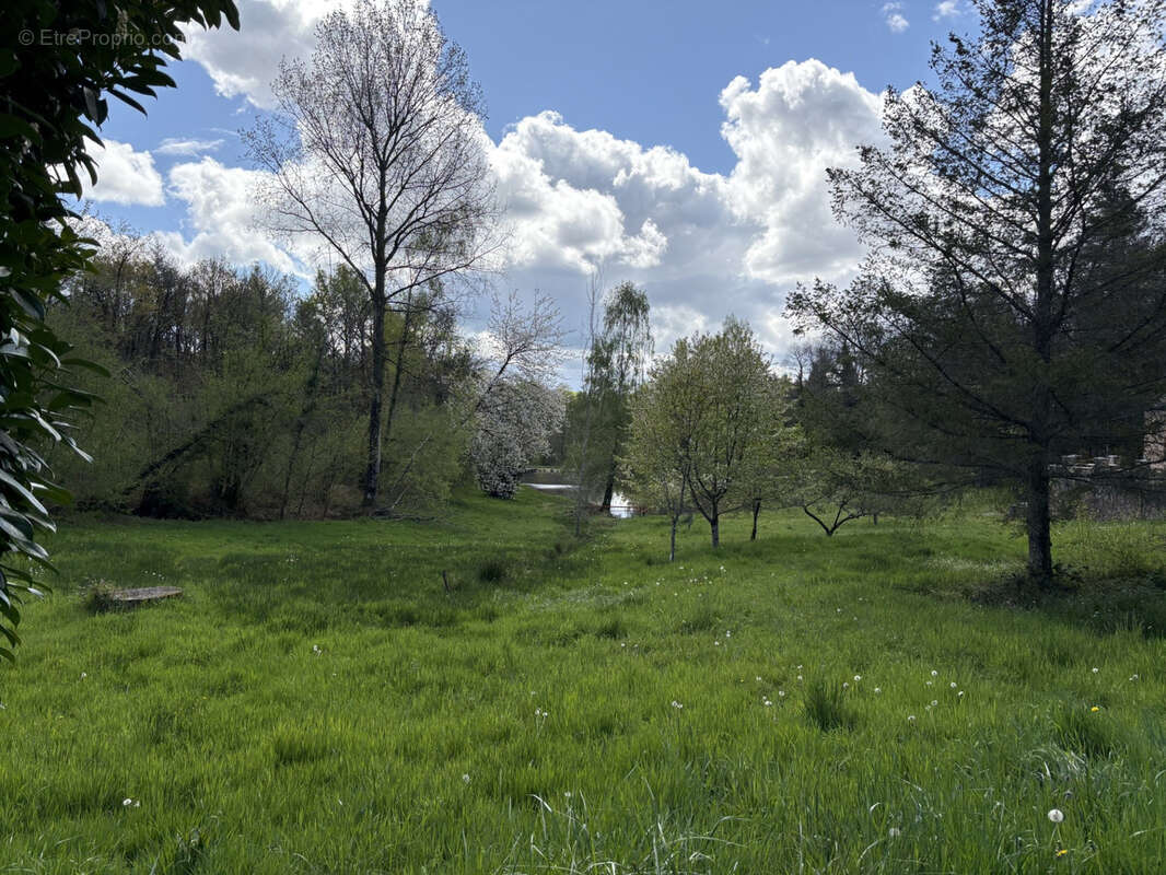 Château Chervix maison de 4 pièces, étang, bois et 3,36 ha sans voisinage - photo 21