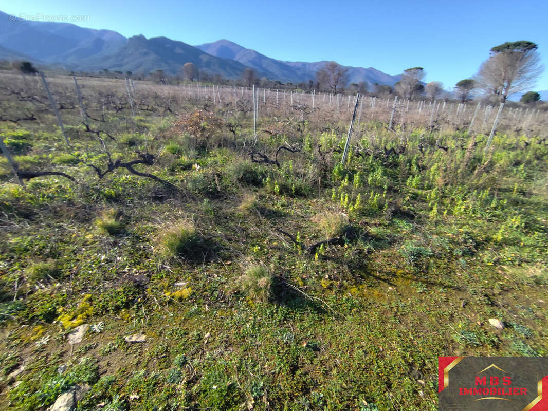 Terrain à SAINT-ANDRE