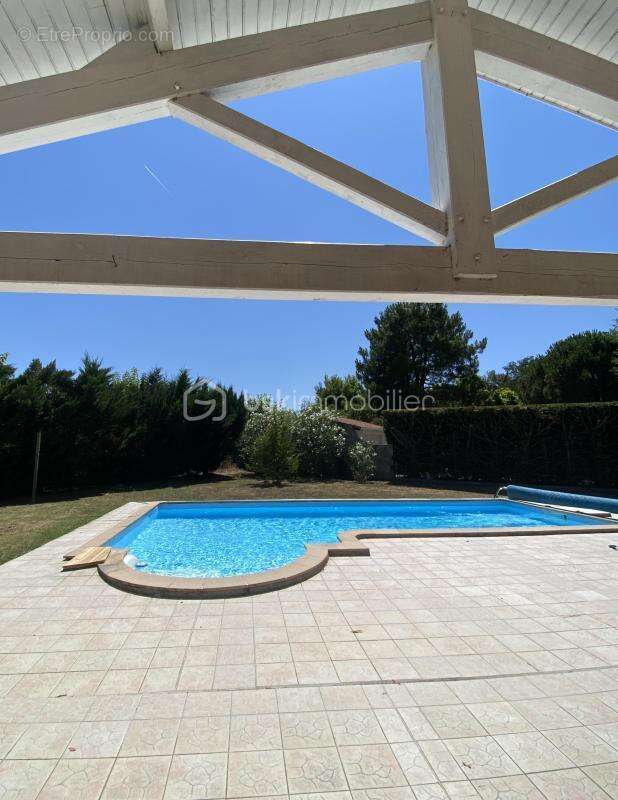 Maison familiale de plain-pied avec piscine sur près de 2000m2 de terrain - photo 3