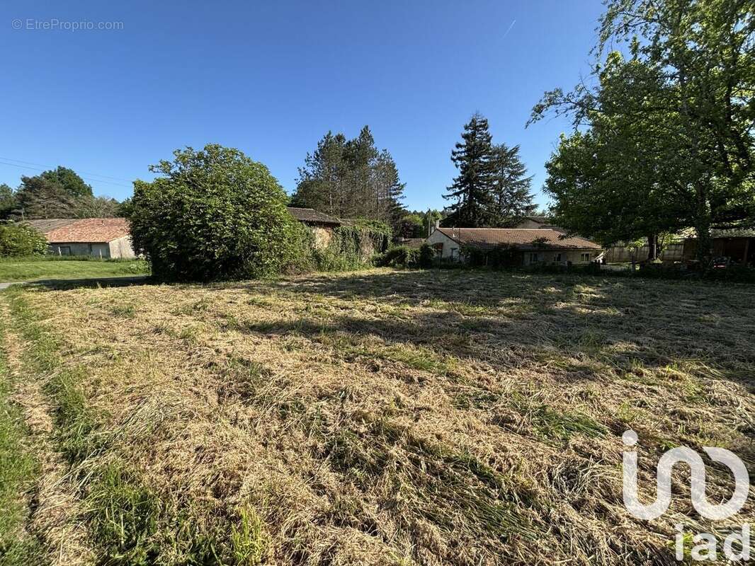 Photo 5 - Maison à TIZAC-DE-LAPOUYADE