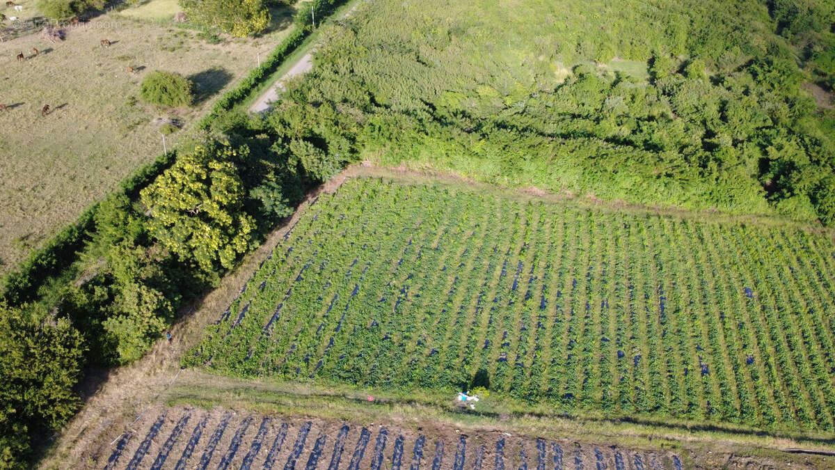 Terrain à LE VAUCLIN