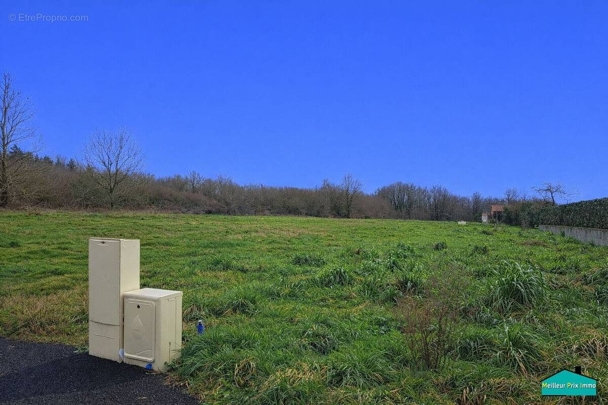 Terrain à SAINT-JEAN-DE-LIVERSAY