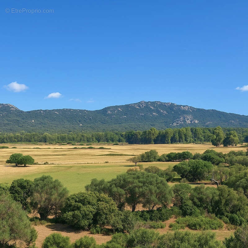 Appartement à PORTO-VECCHIO