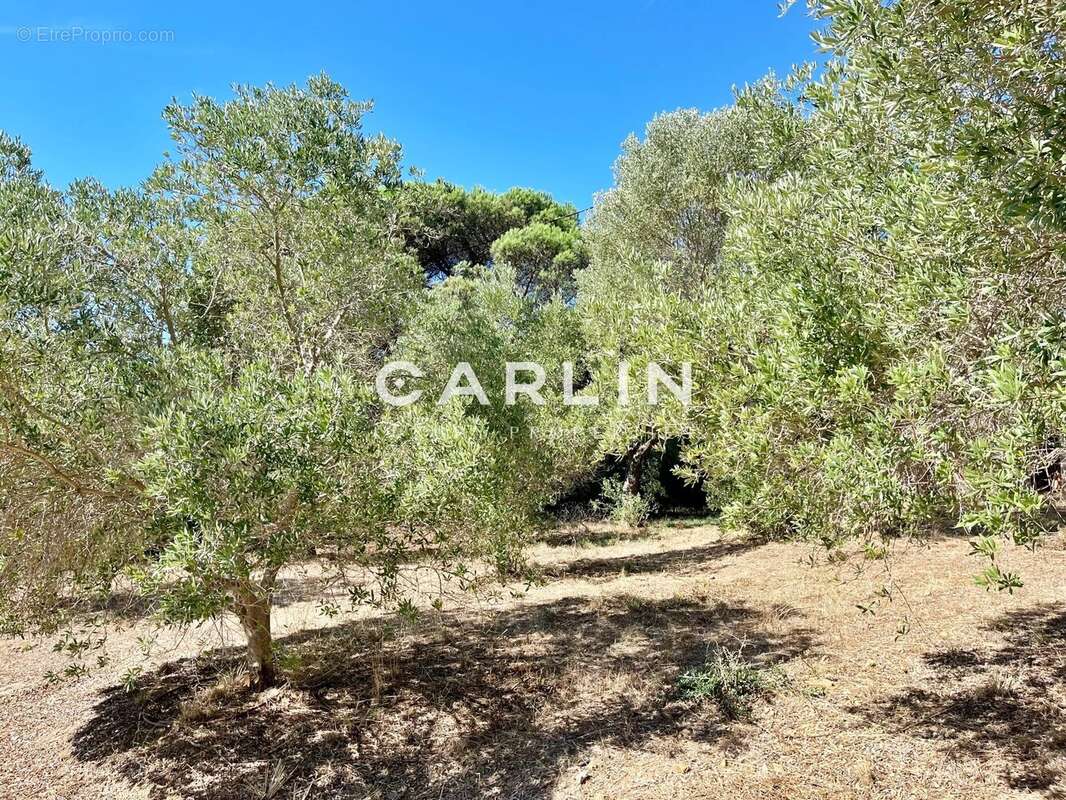 Maison à RAMATUELLE