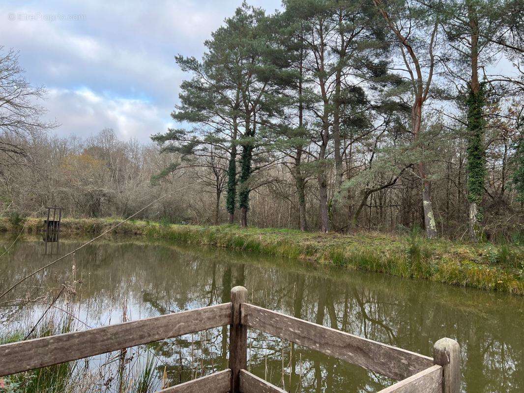Terrain à VILLEFRANCHE-SUR-CHER