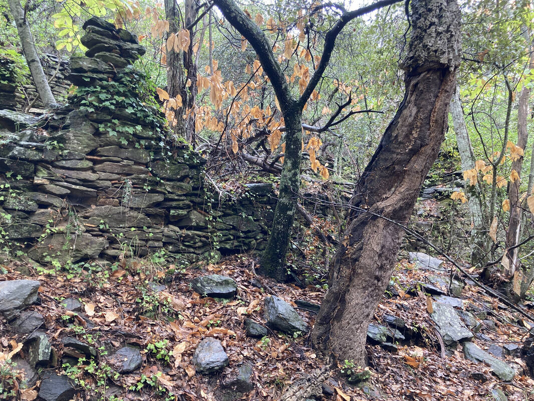 Terrain à COLLOBRIERES