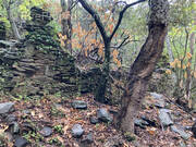 Terrain à COLLOBRIERES