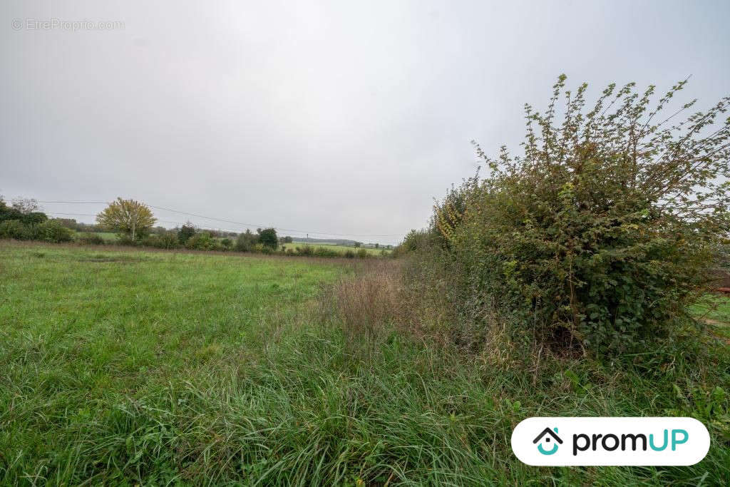 Terrain à GUERIGNY