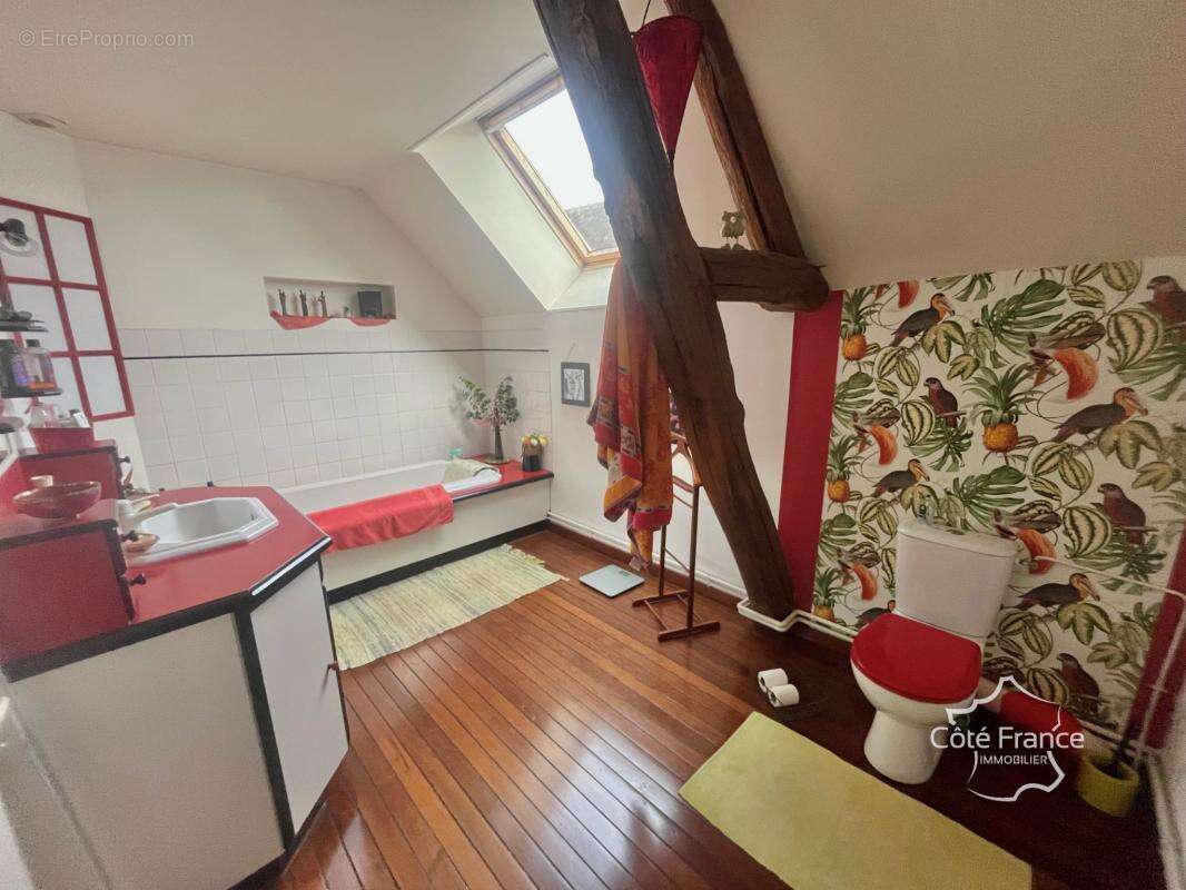 Maison à AILLANT-SUR-THOLON