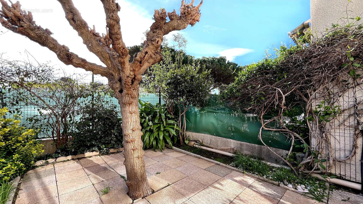 Appartement type 3 rez de jardin - photo 5