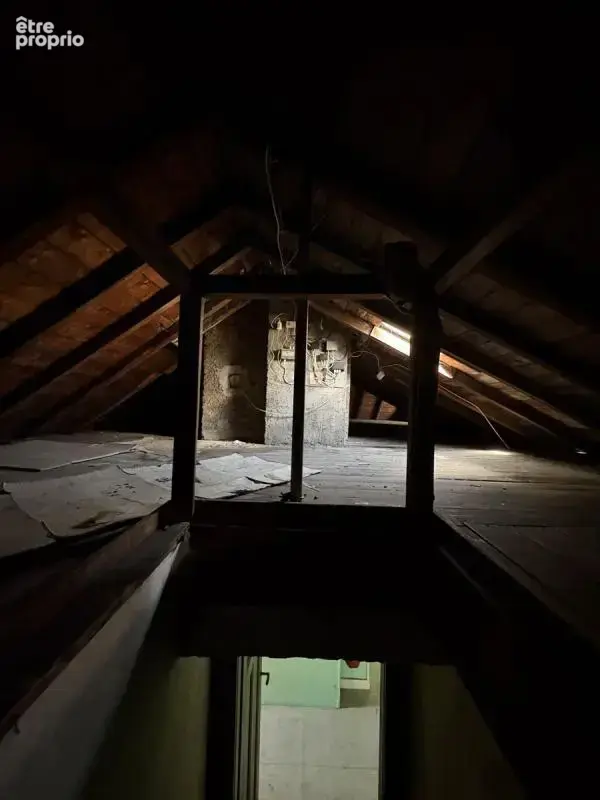 Metz Vacquinière - Appartement en duplex 404 m2 - photo 21